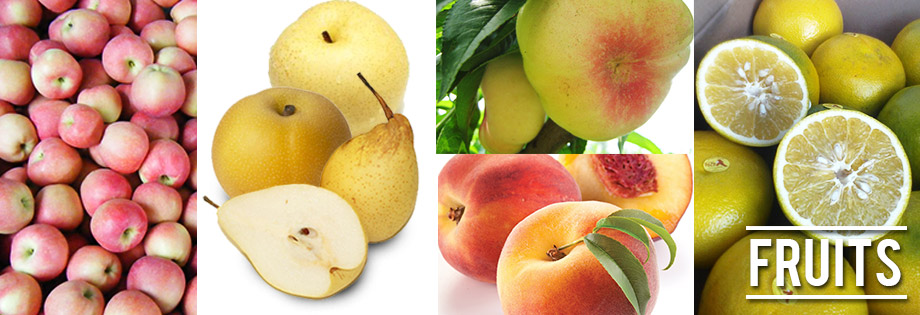 Fruits